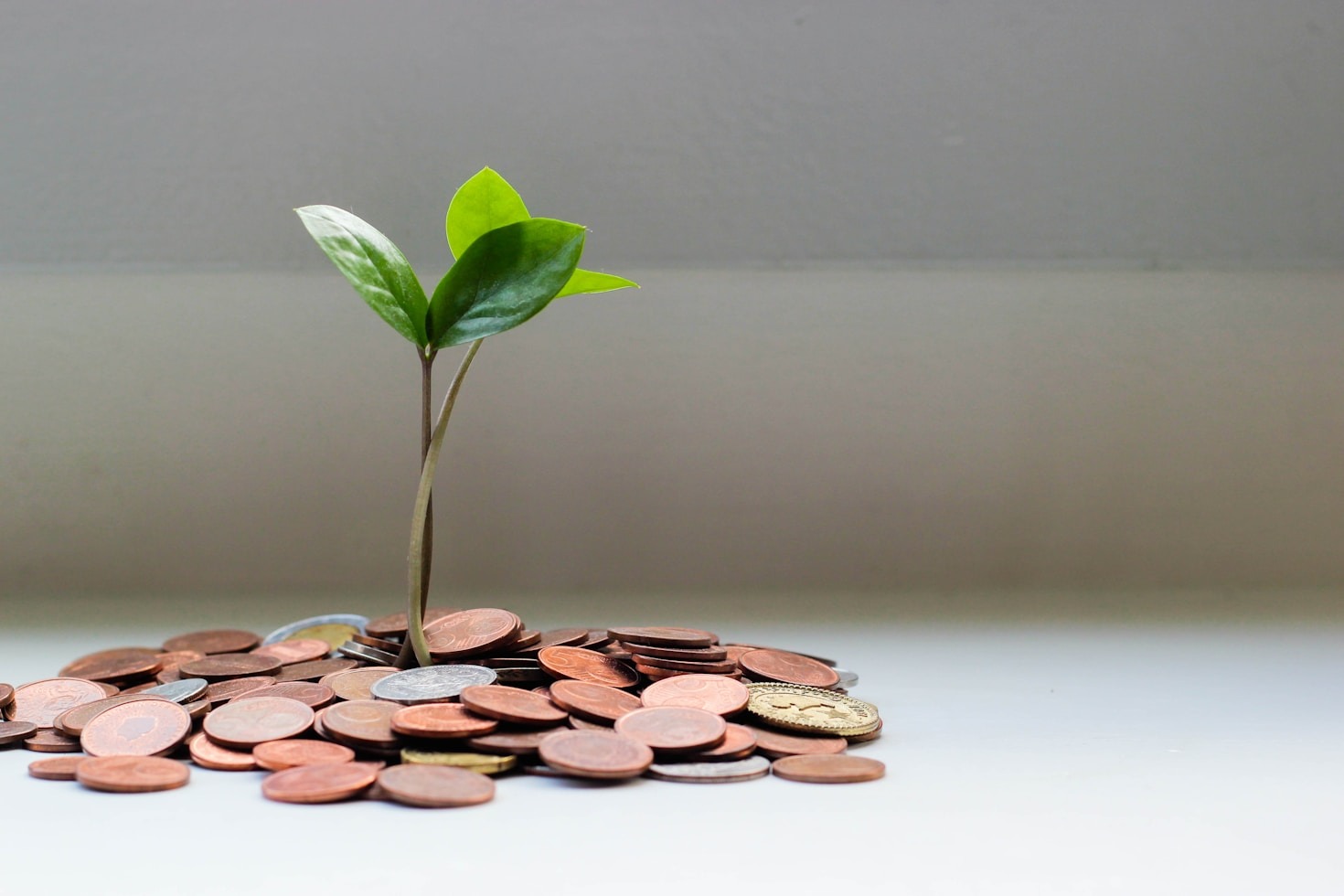 Affiliate Marketing 101: A Beginner’s Guide